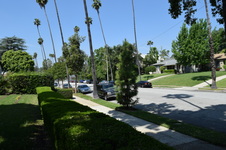Enlarge photo 44