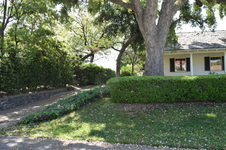Enlarge photo 51
