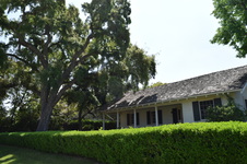 Enlarge photo 52