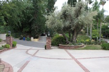 Enlarge photo 14