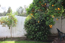 Enlarge photo 14