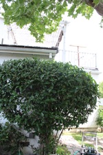 Enlarge photo 33