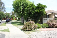 Enlarge photo 37