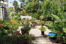 Enlarge photo 54