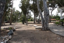 Enlarge photo 40