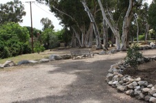 Enlarge photo 41