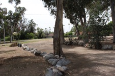 Enlarge photo 38
