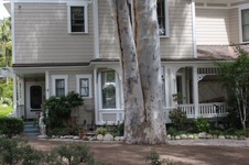 Enlarge photo 28