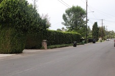 Enlarge photo 51