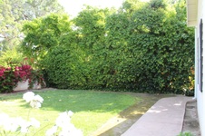 Enlarge photo 40