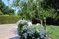 Enlarge photo 39
