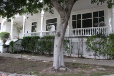 Enlarge photo 36
