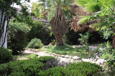 Enlarge photo 17