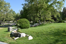 Enlarge photo 7