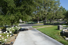 Enlarge photo 37