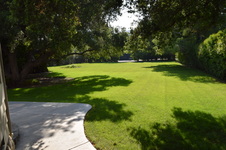 Enlarge photo 38