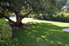 Enlarge photo 50