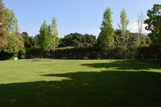 Enlarge photo 51