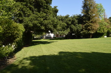 Enlarge photo 52
