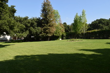Enlarge photo 53