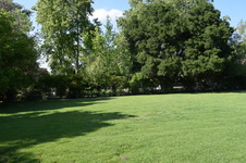 Enlarge photo 57