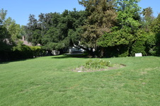 Enlarge photo 58