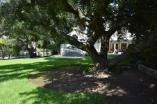 Enlarge photo 59