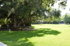 Enlarge photo 65