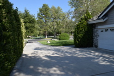 Enlarge photo 66