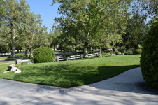 Enlarge photo 67