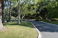 Enlarge photo 71