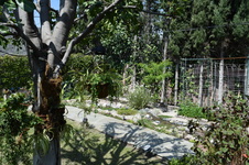 Enlarge photo 15