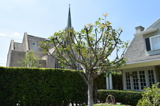 Enlarge photo 32