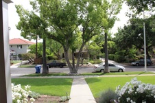 Enlarge photo 28