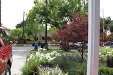 Enlarge photo 21