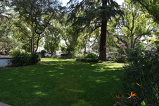 Enlarge photo 10