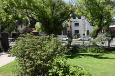 Enlarge photo 19