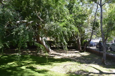 Enlarge photo 34