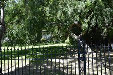 Enlarge photo 96