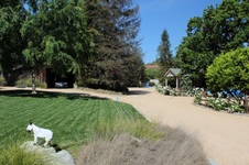 Enlarge photo 61