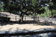Enlarge photo 48