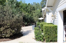 Enlarge photo 35