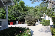 Enlarge photo 20