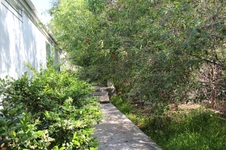 Enlarge photo 37