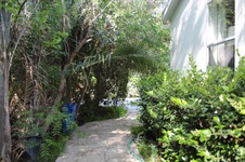 Enlarge photo 33