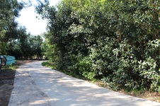 Enlarge photo 100