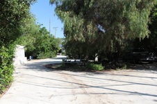 Enlarge photo 97