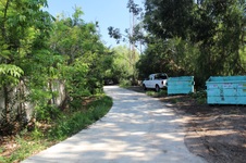 Enlarge photo 98