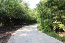 Enlarge photo 99