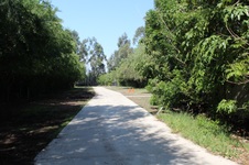 Enlarge photo 93